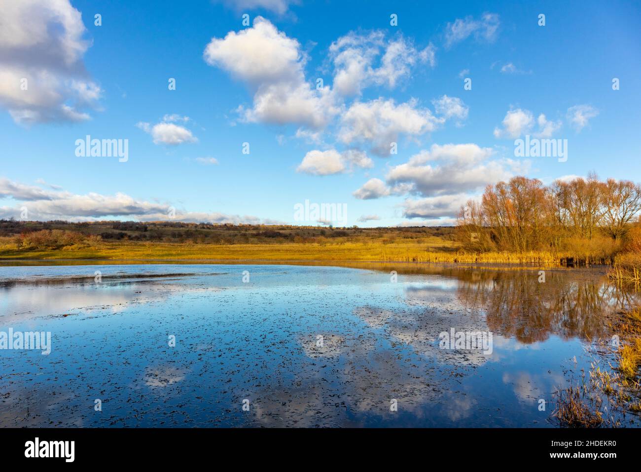 Beautiful view of the Silver Lake in Hainich Valley, Thuringia Stock Photo