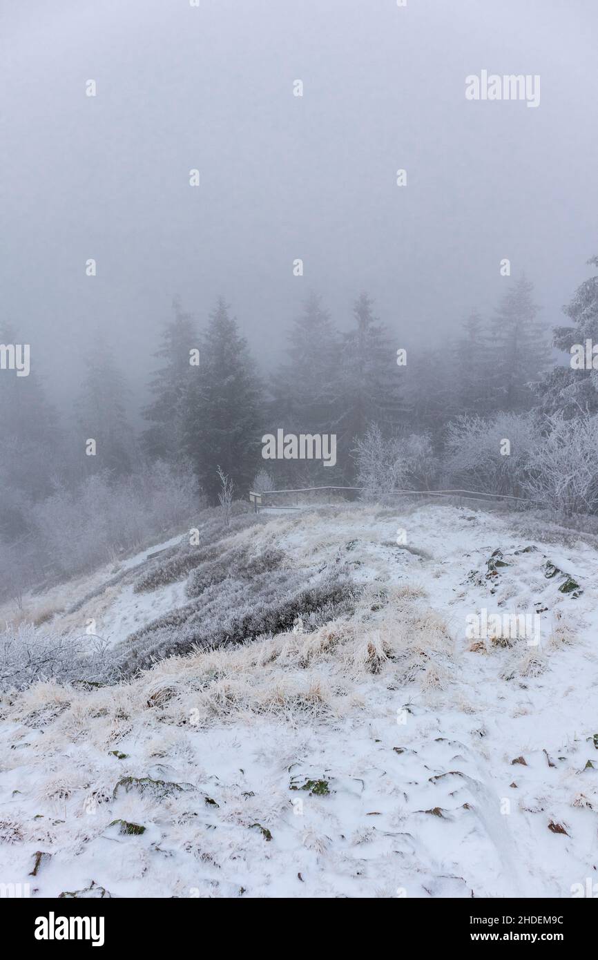 Thuringia Winter Aerial view of pine trees in Ruppberg at winter in Thuringian Forest ...