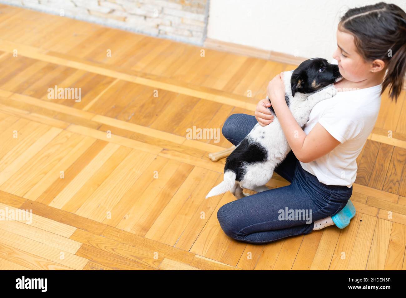 Portrait of a beautiful smiling young girl being licked on the cheek by a cute puppy dog Stock Photo