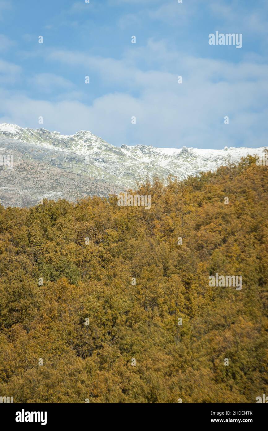 Beautiful shot vertical cliffs hi-res stock photography and images - Alamy