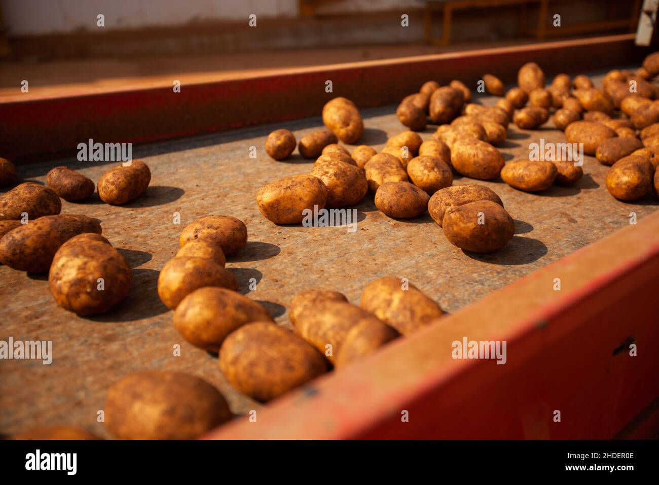 Factory interior. Chips production. Factory equipment, product ...