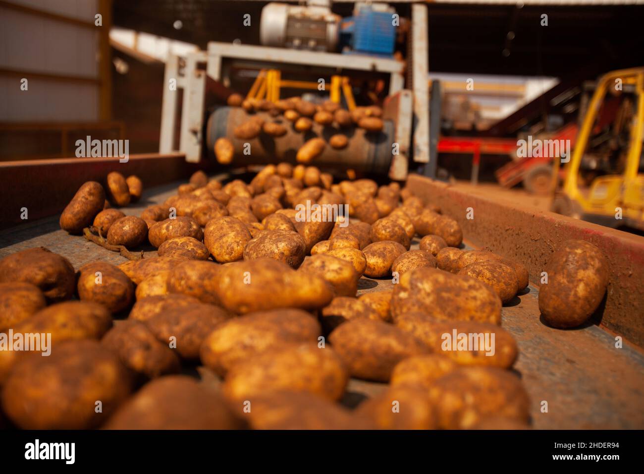 Factory interior. Chips production. Factory equipment, product ...
