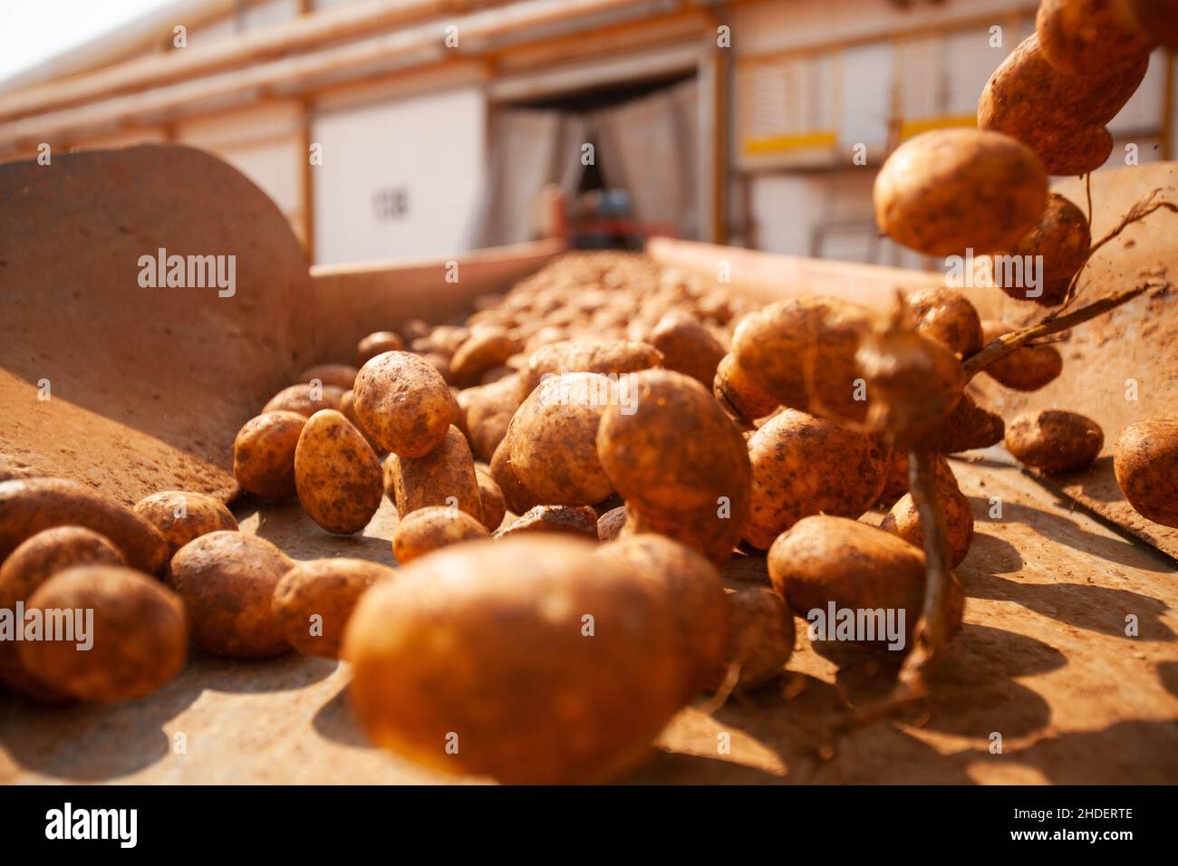 Factory interior. Chips production. Factory equipment, product ...