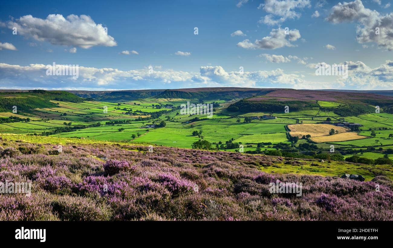 A view of Danby Dale and Little Fryupdale from Oakley Walls Stock Photo