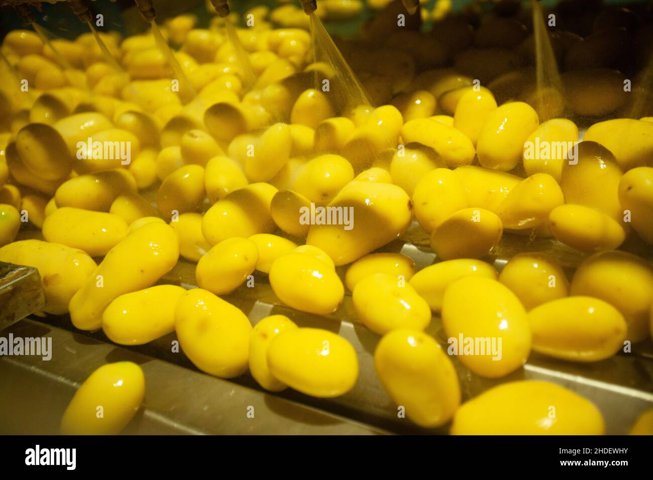 Factory interior. Chips production. Factory equipment, product ...