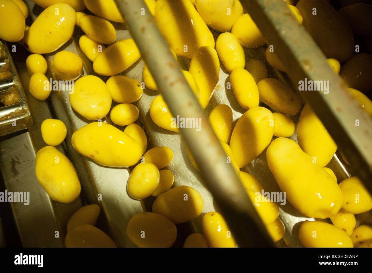 Factory interior. Chips production. Factory equipment, product ...