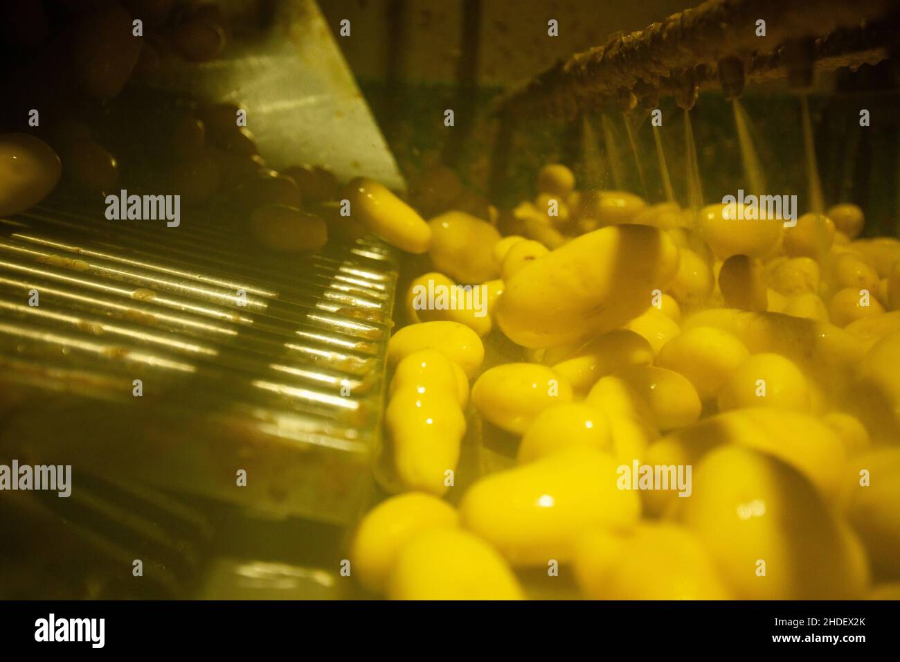 Factory interior. Chips production. Factory equipment, product ...