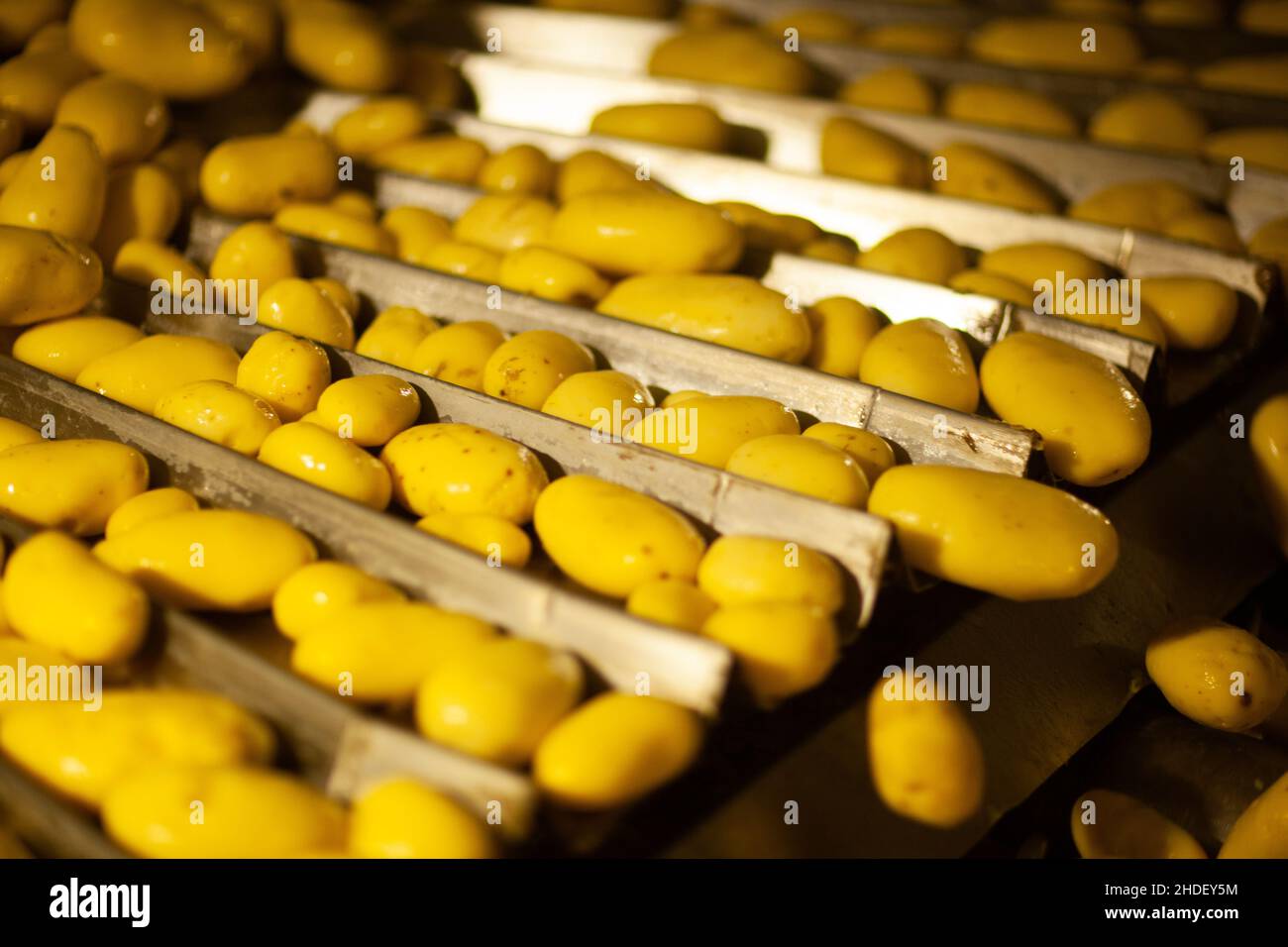 Factory interior. Chips production. Factory equipment, product ...