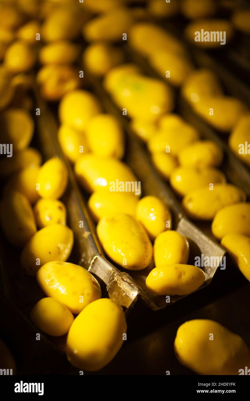 Factory interior. Chips production. Factory equipment, product ...