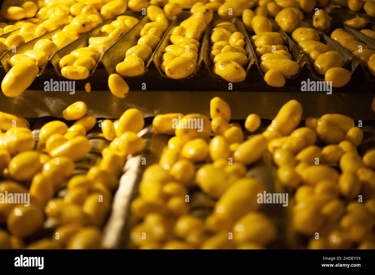 Factory interior. Chips production. Factory equipment, product ...