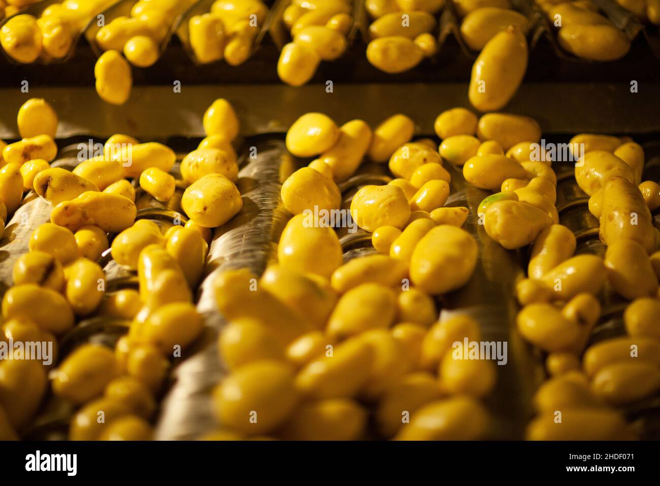 Factory interior. Chips production. Factory equipment, product ...