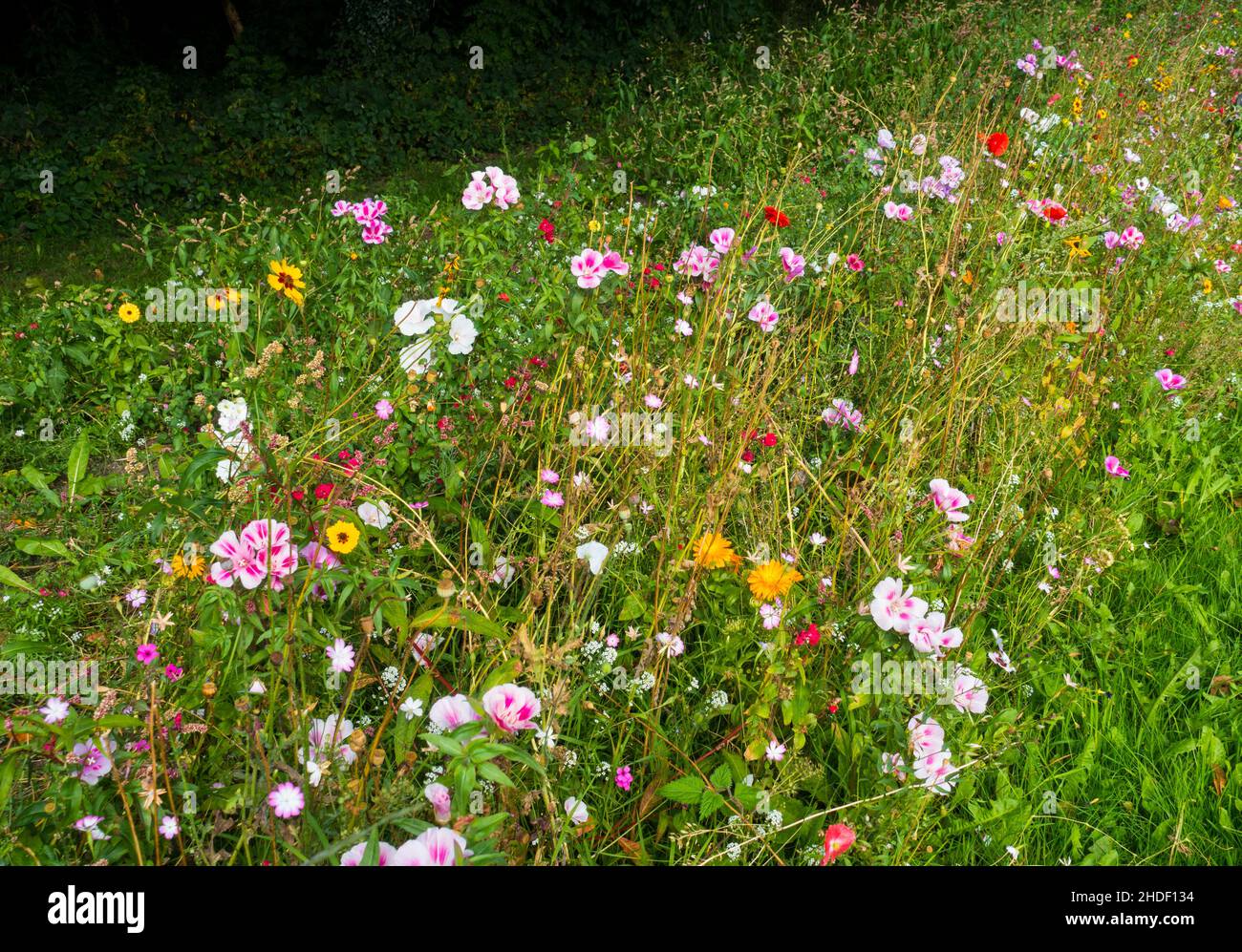 Ecological planting hi-res stock photography and images - Alamy