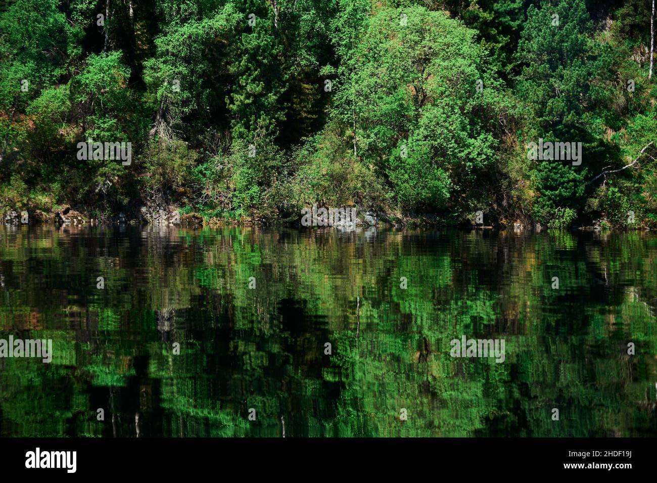 Mokhovoe Lake in the mountains. Nature of Mount Kolyvan. Altai Krai, Russia. Landscape with mountains Stock Photo