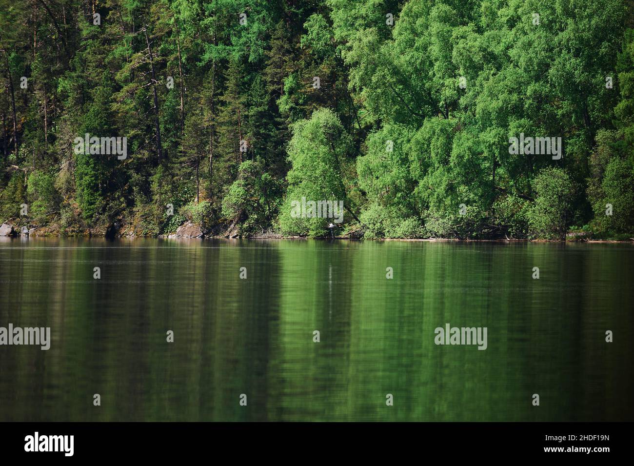 Mokhovoe Lake in the mountains. Nature of Mount Kolyvan. Altai Krai, Russia. Landscape with mountains Stock Photo