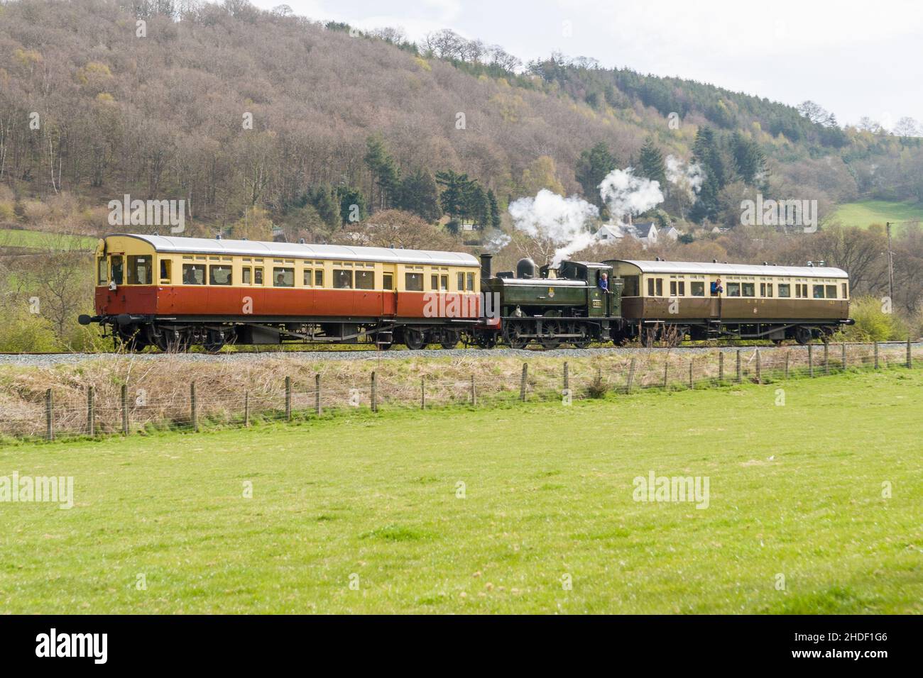 A steam gala on the Llangollen steam Railway Stock Photo