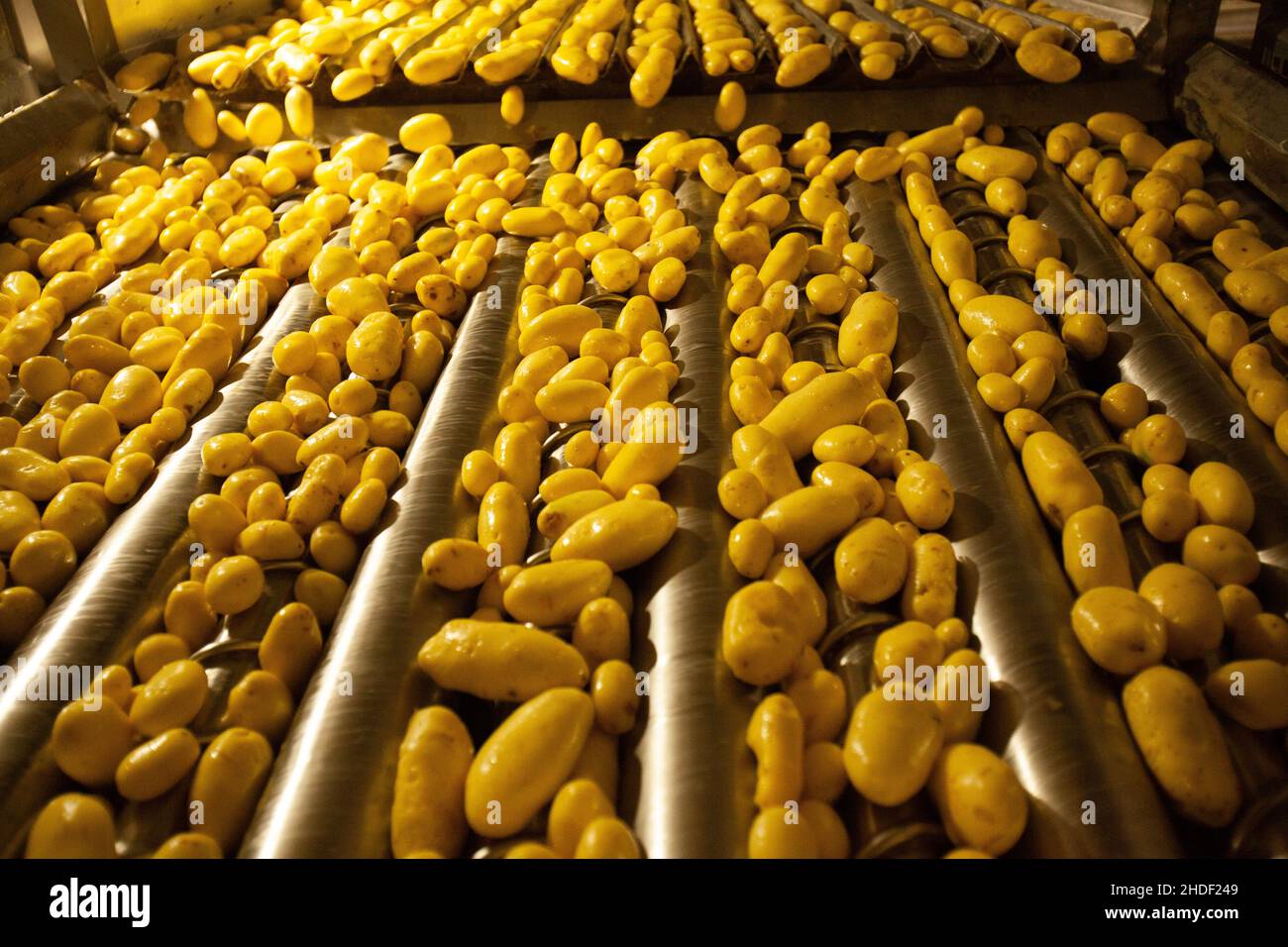Factory interior. Chips production. Factory equipment, product ...