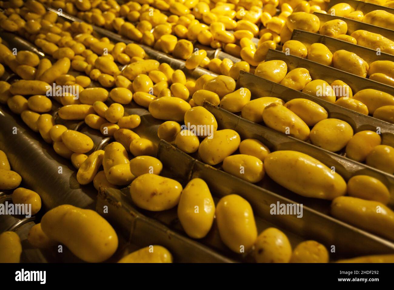 Factory interior. Chips production. Factory equipment, product ...