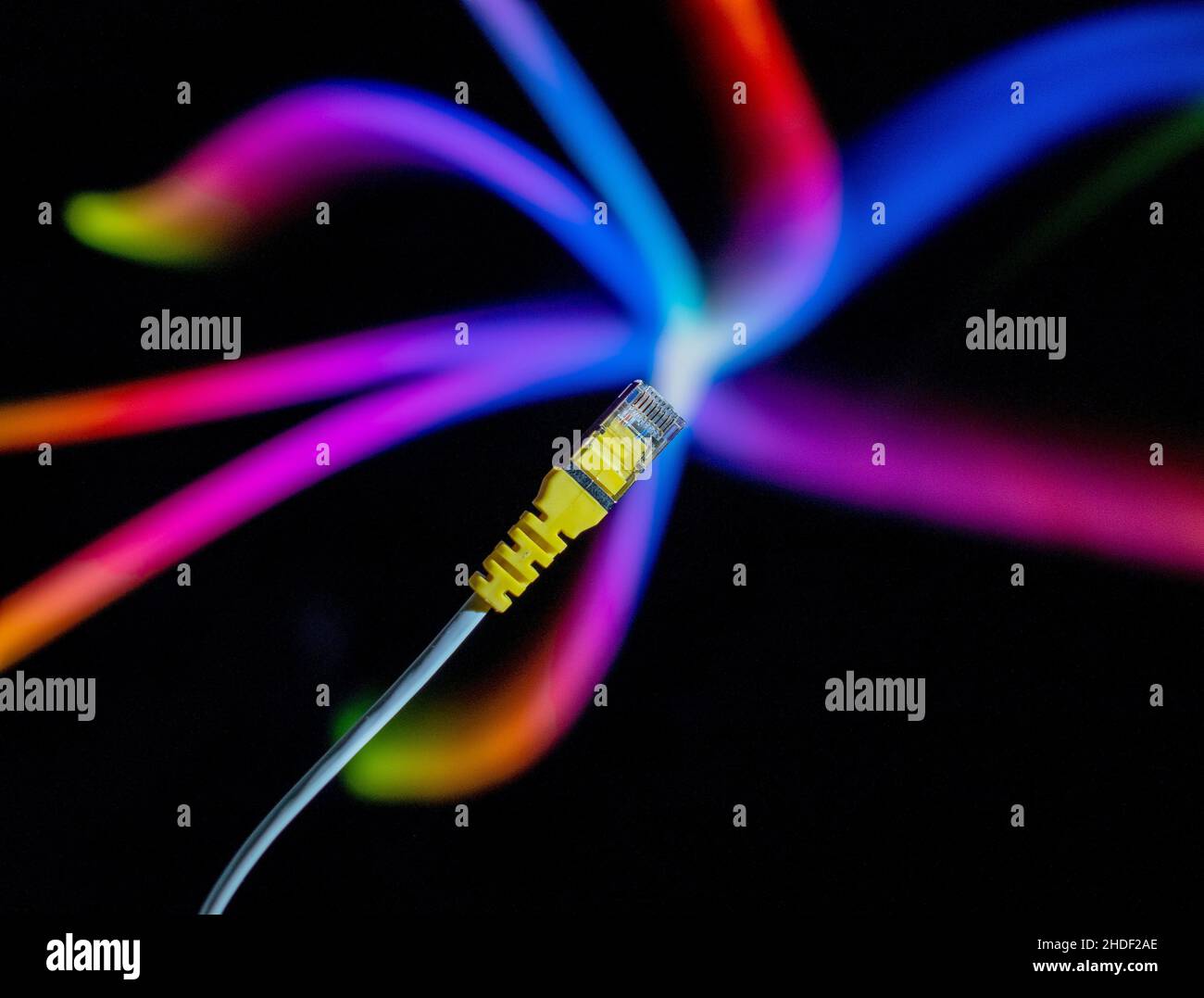 Internet cable and yellow ethernet connector in close up against a colourful background. Stock Photo