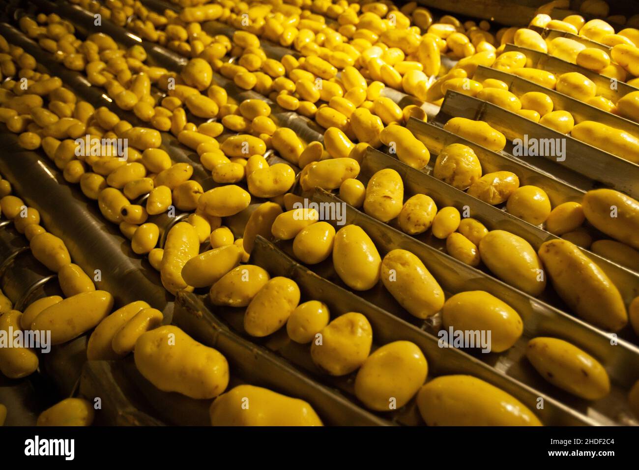 Factory interior. Chips production. Factory equipment, product ...