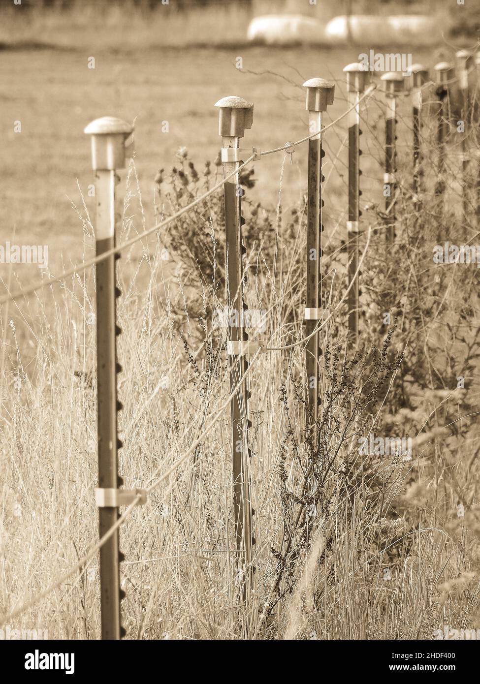 Vertical shot field fence hi-res stock photography and images - Alamy