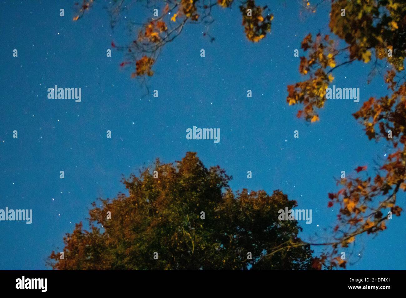 Beautiful low angle view hi-res stock photography and images - Alamy