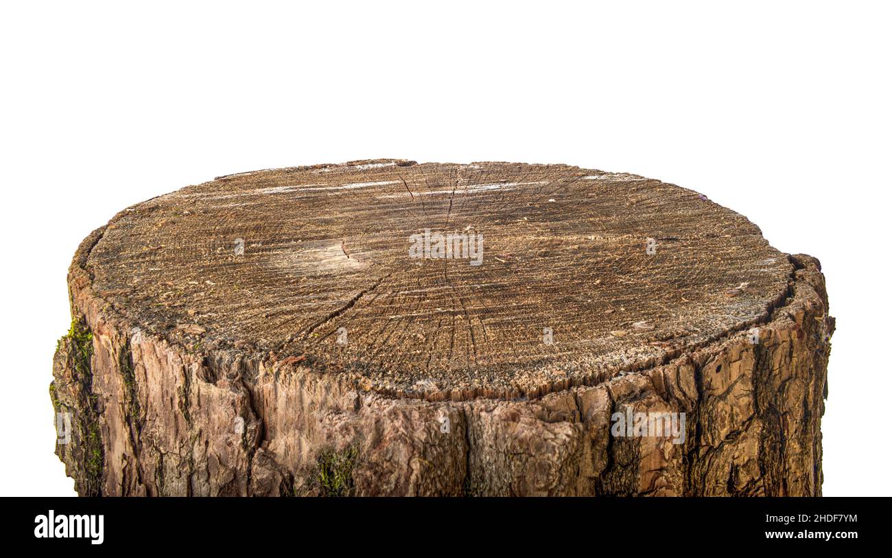 log, wooden block, logs, wooden blocks Stock Photo Alamy