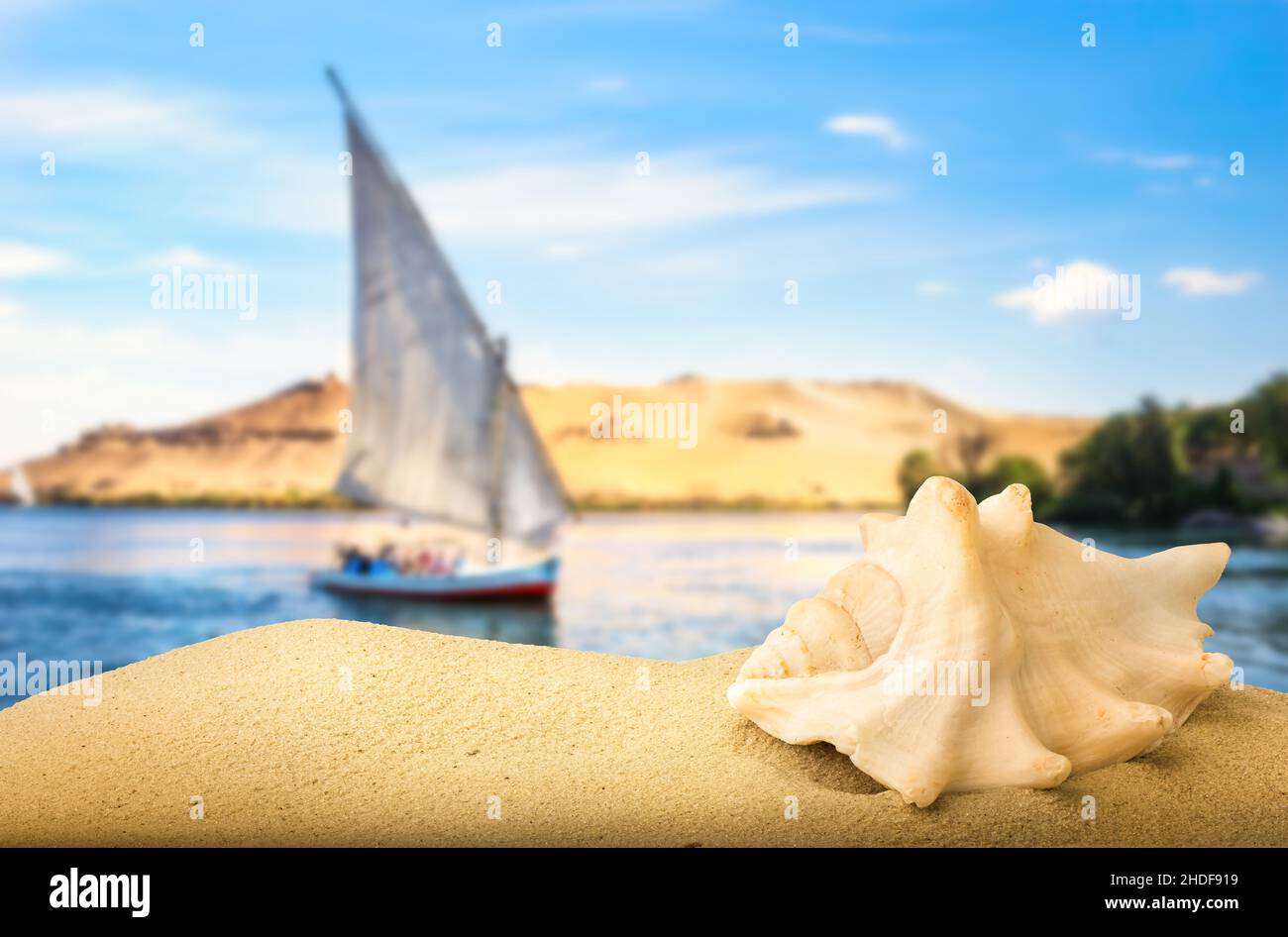 sand, mussel, nile river, sands, mussels, nile, nile rivers Stock Photo