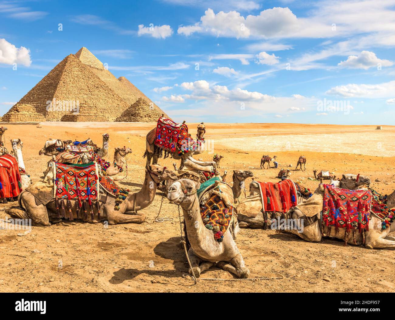 desert, egypt, pyramids, caravan, deserts, wüste, egyptian, egypts