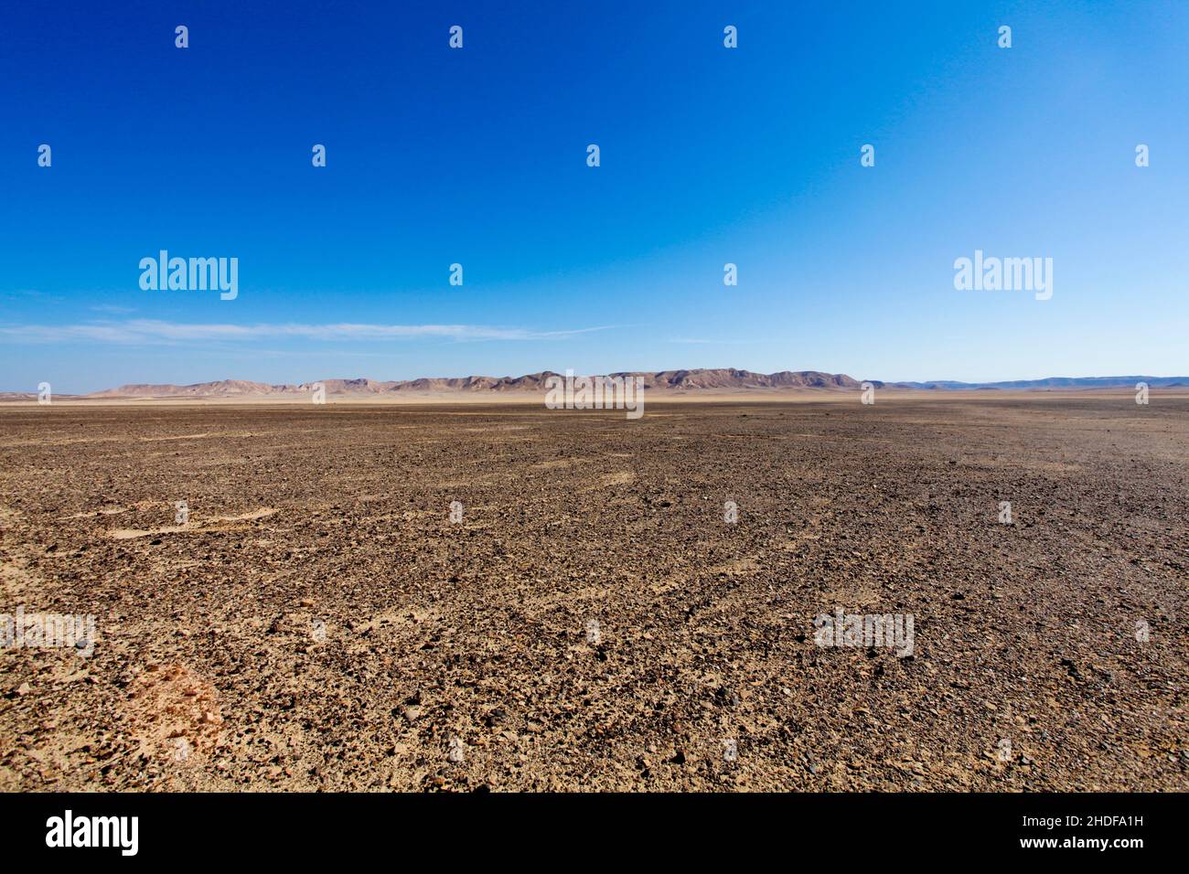 Israel, Negev Desert landscape. The Bulbus rock field in front of Mount Zin Stock Photo