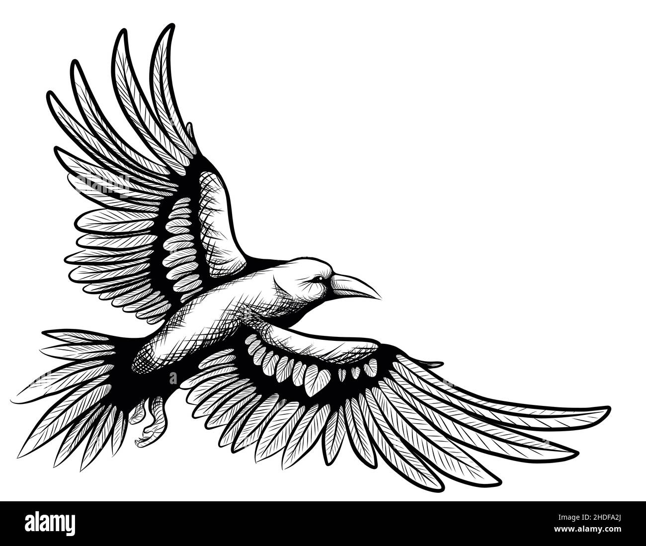 graphics, raven, drawing, graphic, ravens, drawings Stock Photo