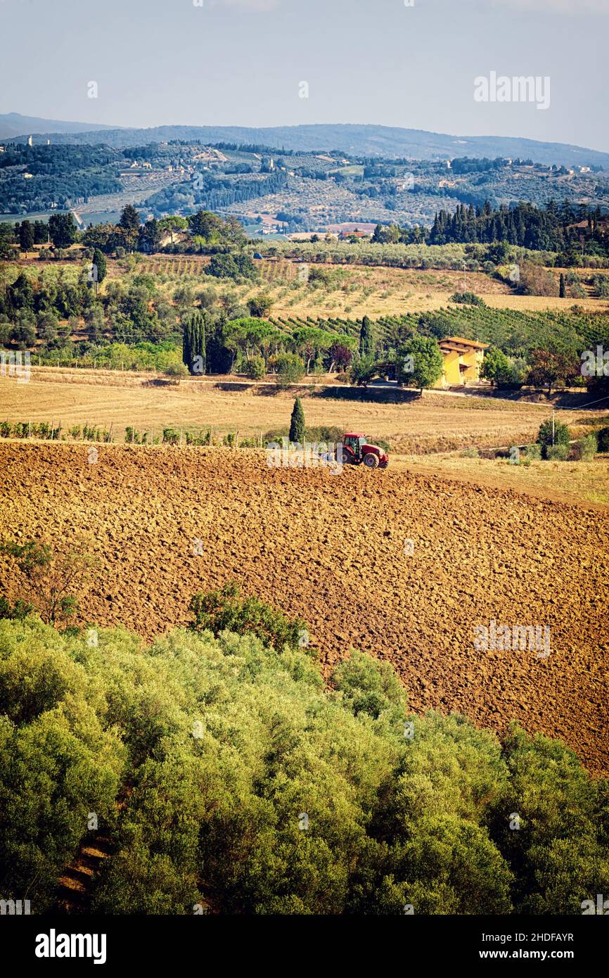 arable, tractor, tuscany, cultural landscape, arables, tractors, tuscanies, cultural landscapes, landscape, landscapes Stock Photo