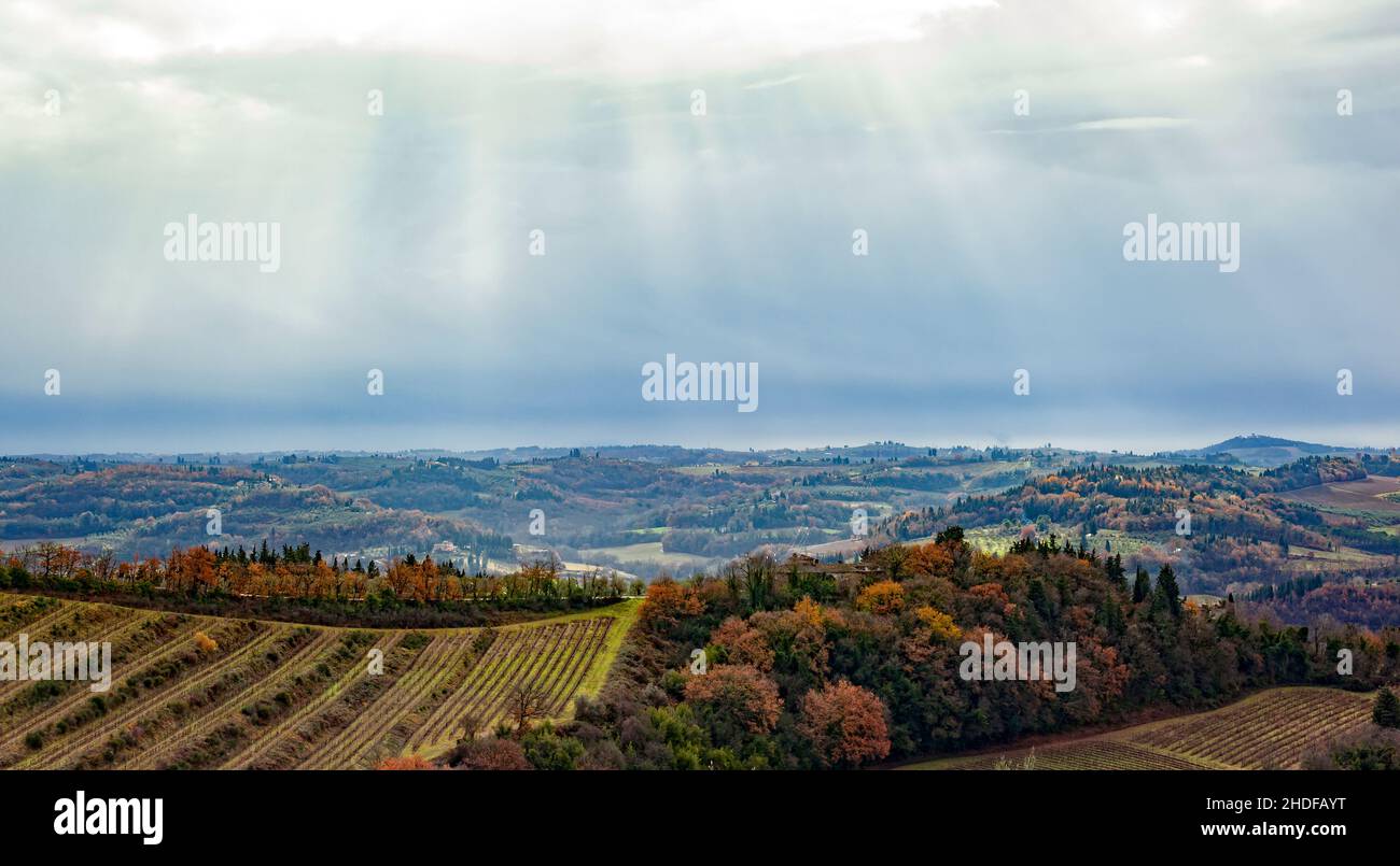 autumn, fields, tuscany, fall, field, tuscanies Stock Photo