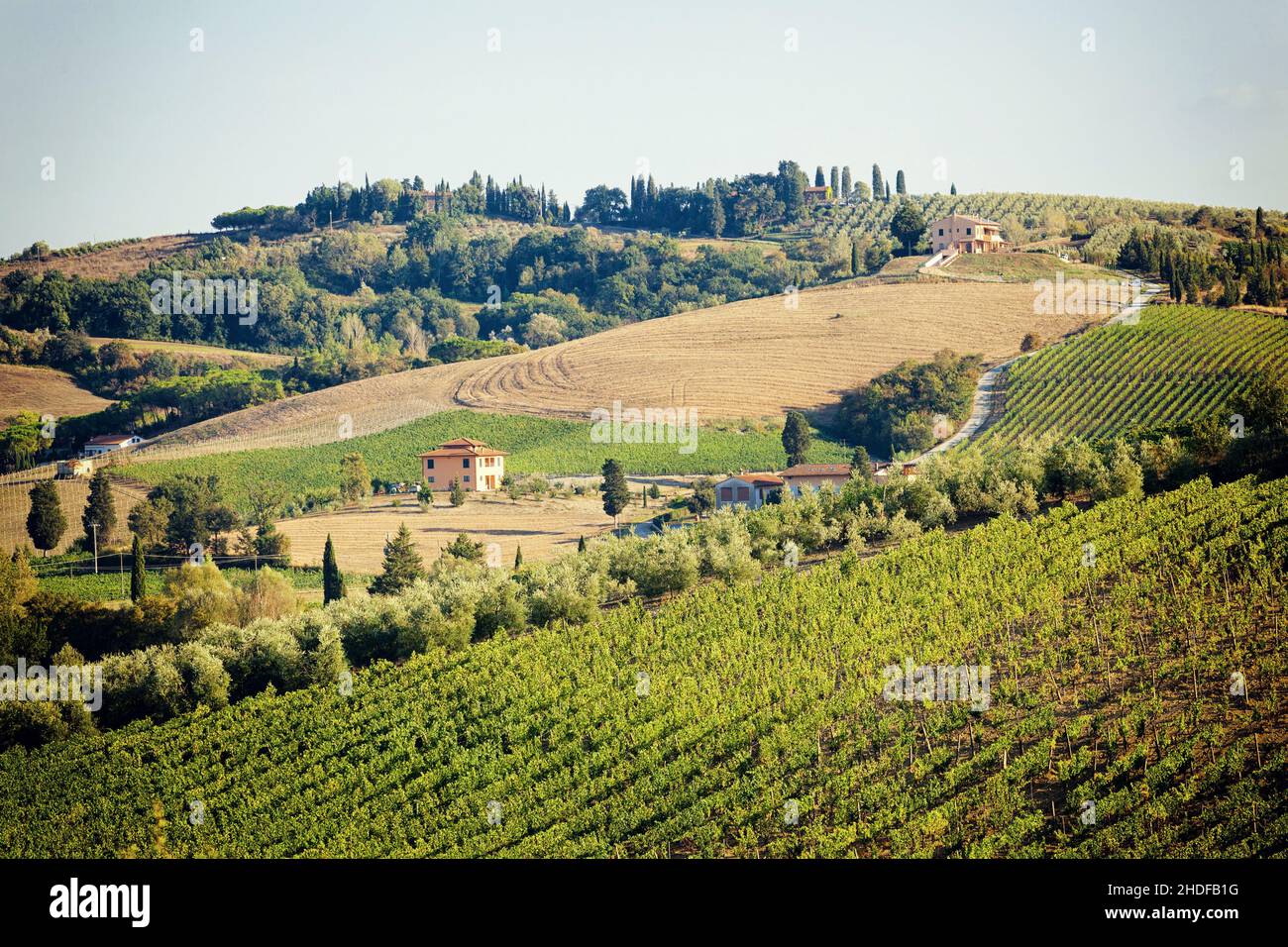 italy, tuscany, winery, italies, tuscanies, wineries Stock Photo