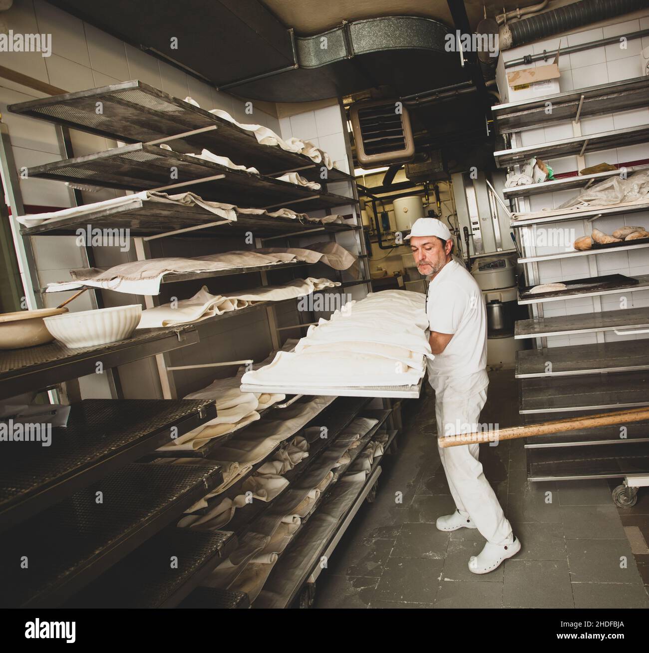 carrying, baking sheet, baker, carry, baking sheets, bakers Stock Photo