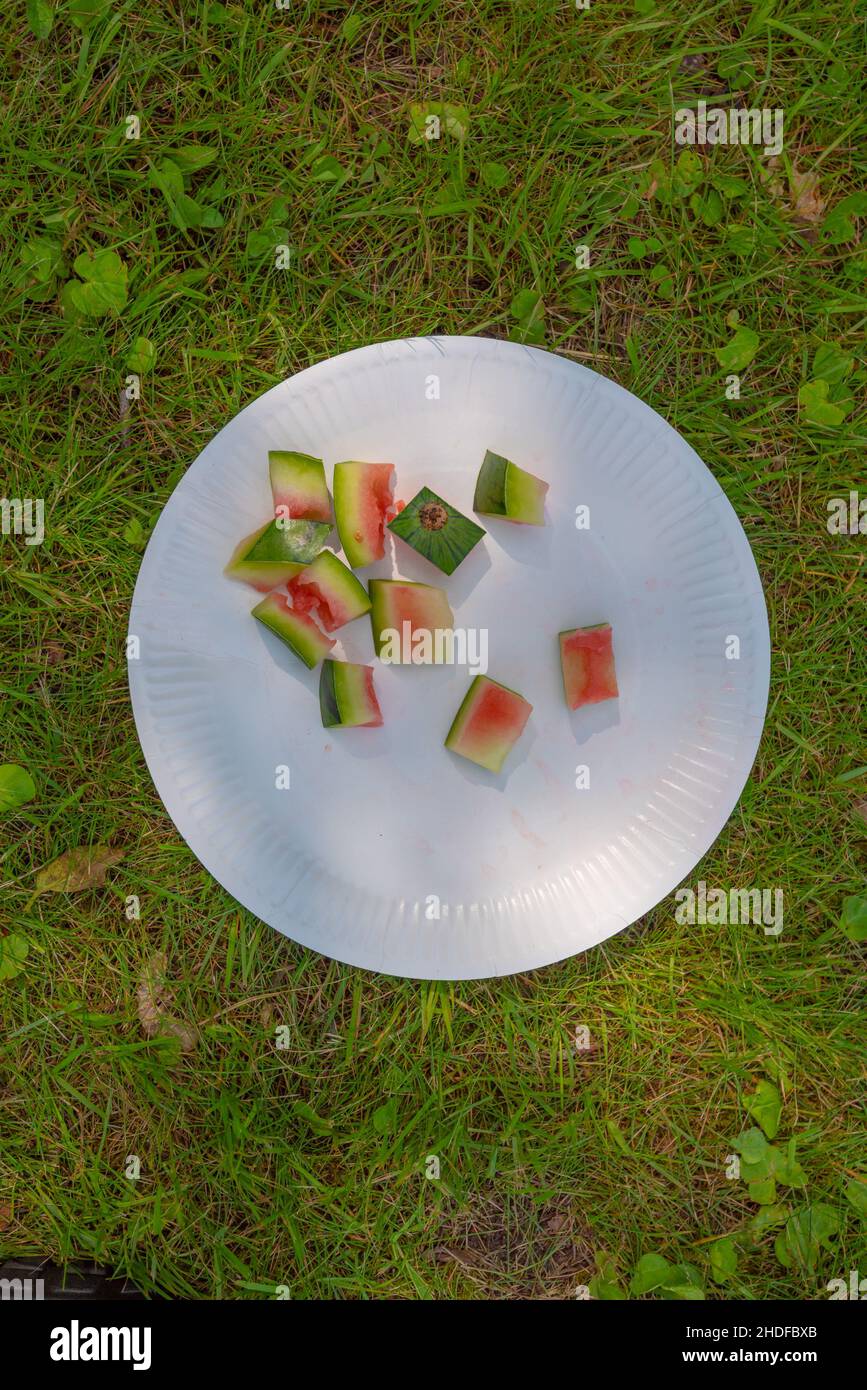 Bits of water melon on a white plate in grass Stock Photo