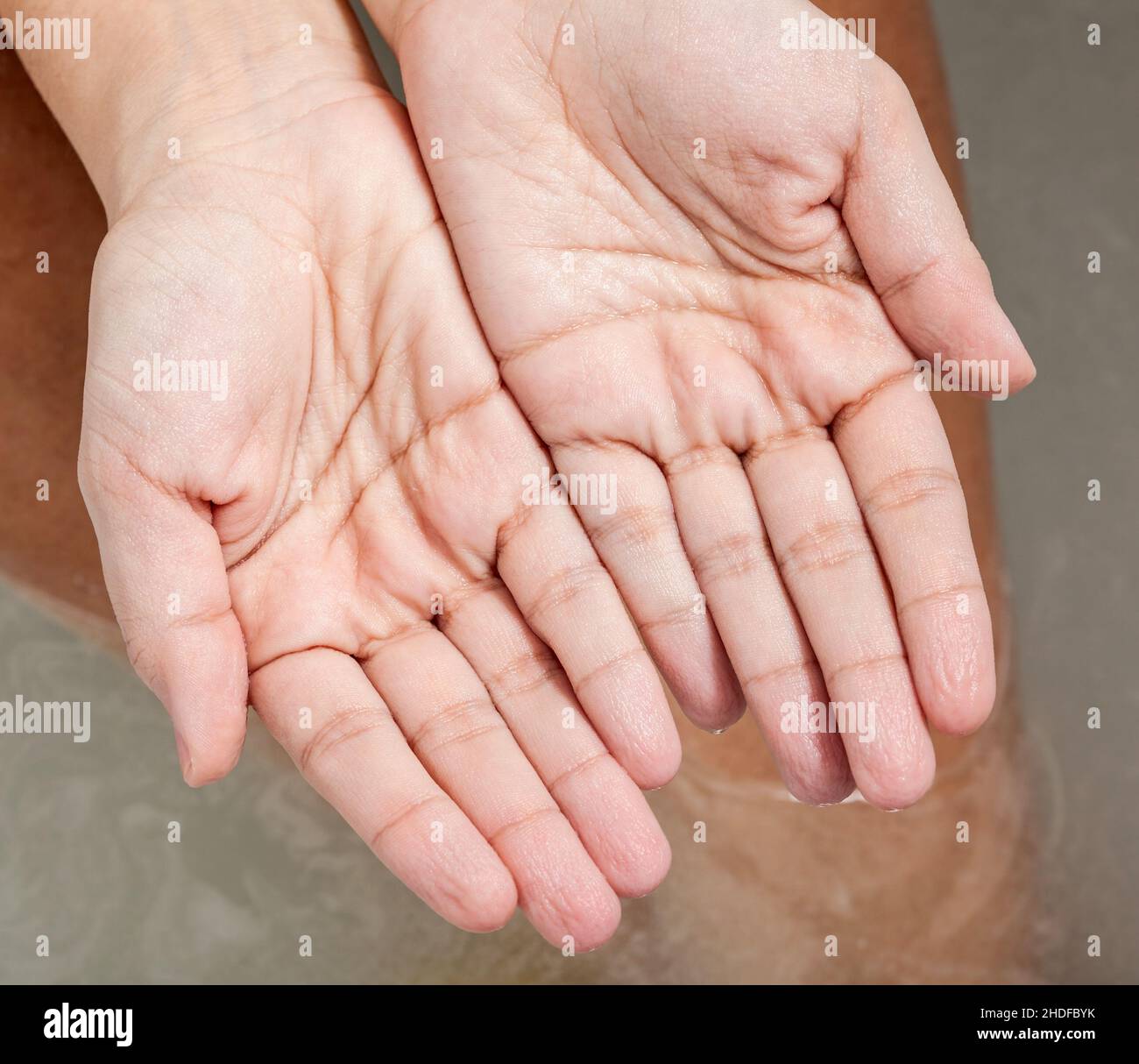hand, bathwater, dried, dry skin, wizen, hands, bathwaters, drieds, dry skins, wizens Stock Photo