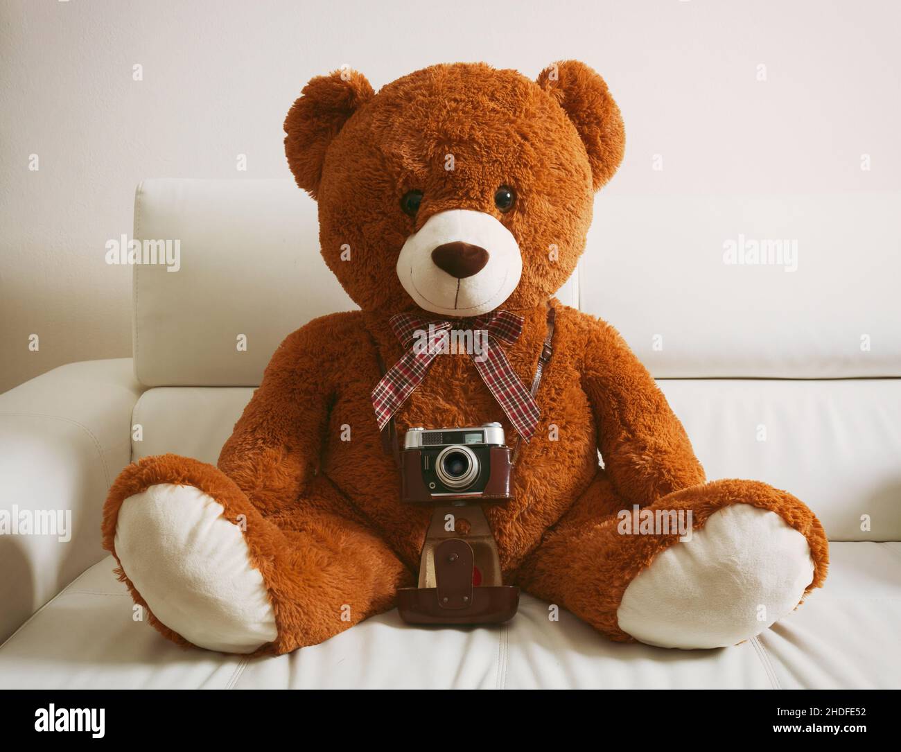 retro, teddy bear, photo camera, old fashioned, retro style, teddy