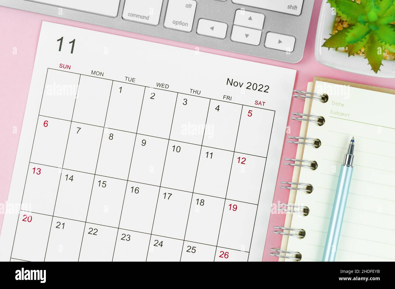 The November 2022 Desk Calendar With Plant Pot On Pink Background Stock Photo - Alamy