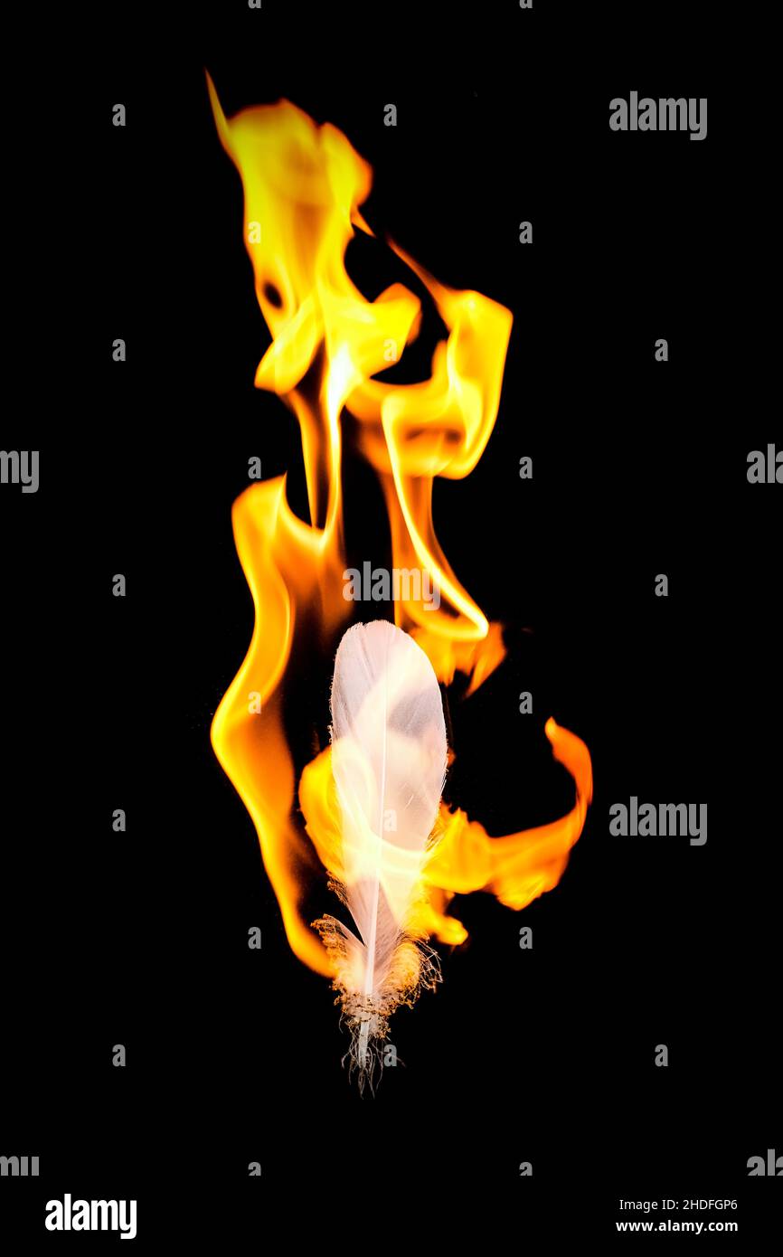 flame, fire, burning, spirituality, ritual, magic, flames, fires, spiritualities, rituals, magics Stock Photo