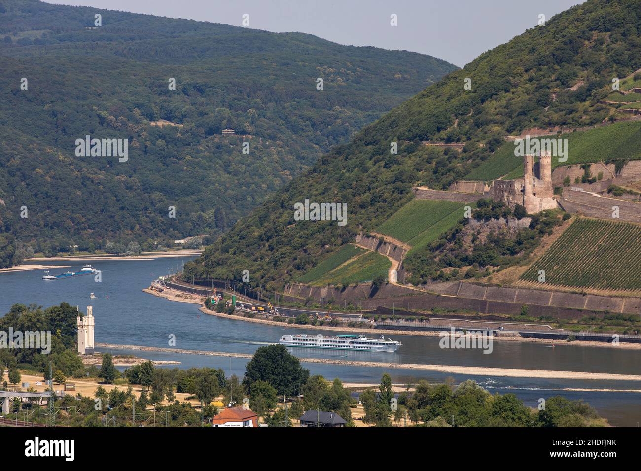 Bingen on the Rhine, Upper Middle Rhine Valley, UNESCO World Heritage Site, vineyards, ruins of