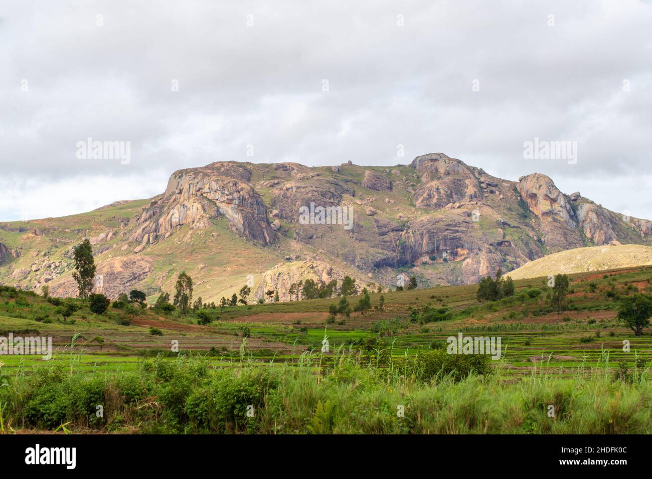 madagascar, madagascars Stock Photo