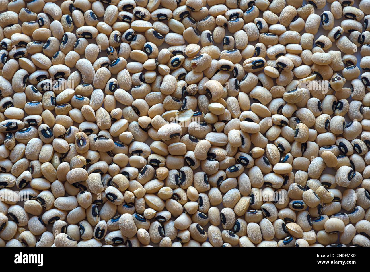 Black-Eyed Pea