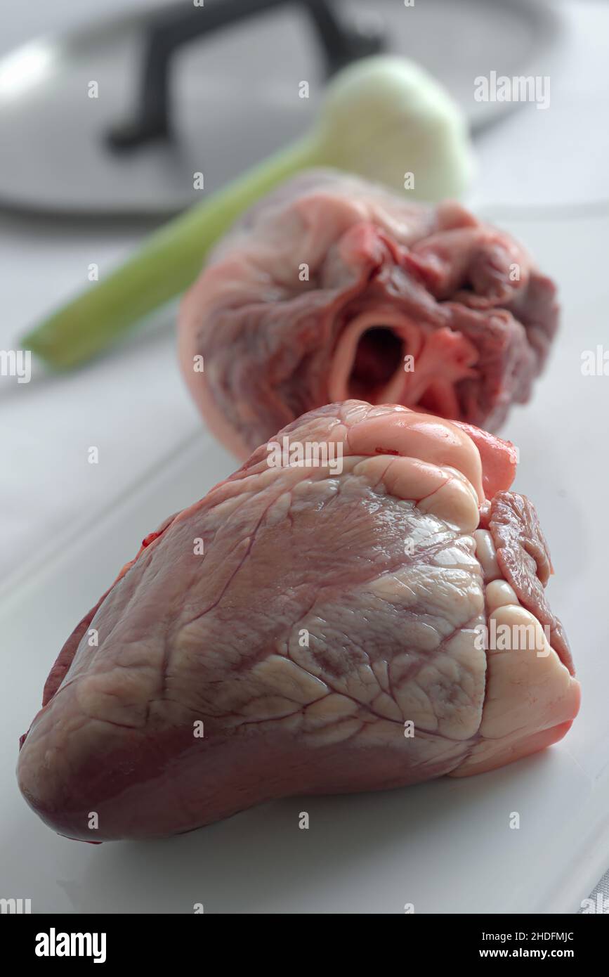 Raw lamb heart hires stock photography and images Alamy