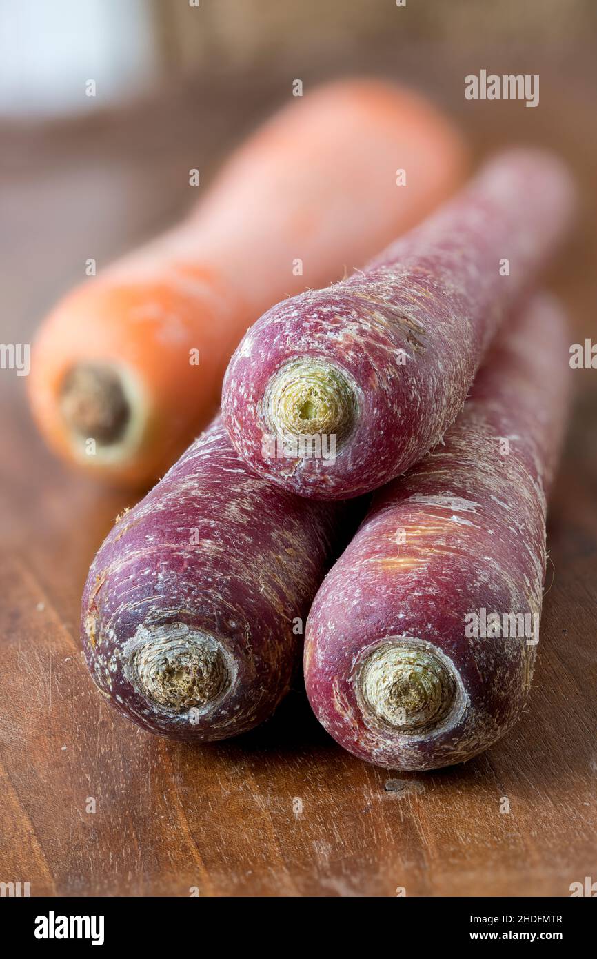 carrots, root vegetable, carrot, root vegetables Stock Photo Alamy