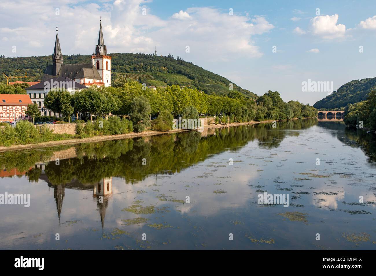 Bingen on the Rhine, Upper Middle Rhine Valley, UNESCO World Heritage Site, vineyards, the river Nahe, Bingen, Rhineland-Palatinate, Germany Stock Photo