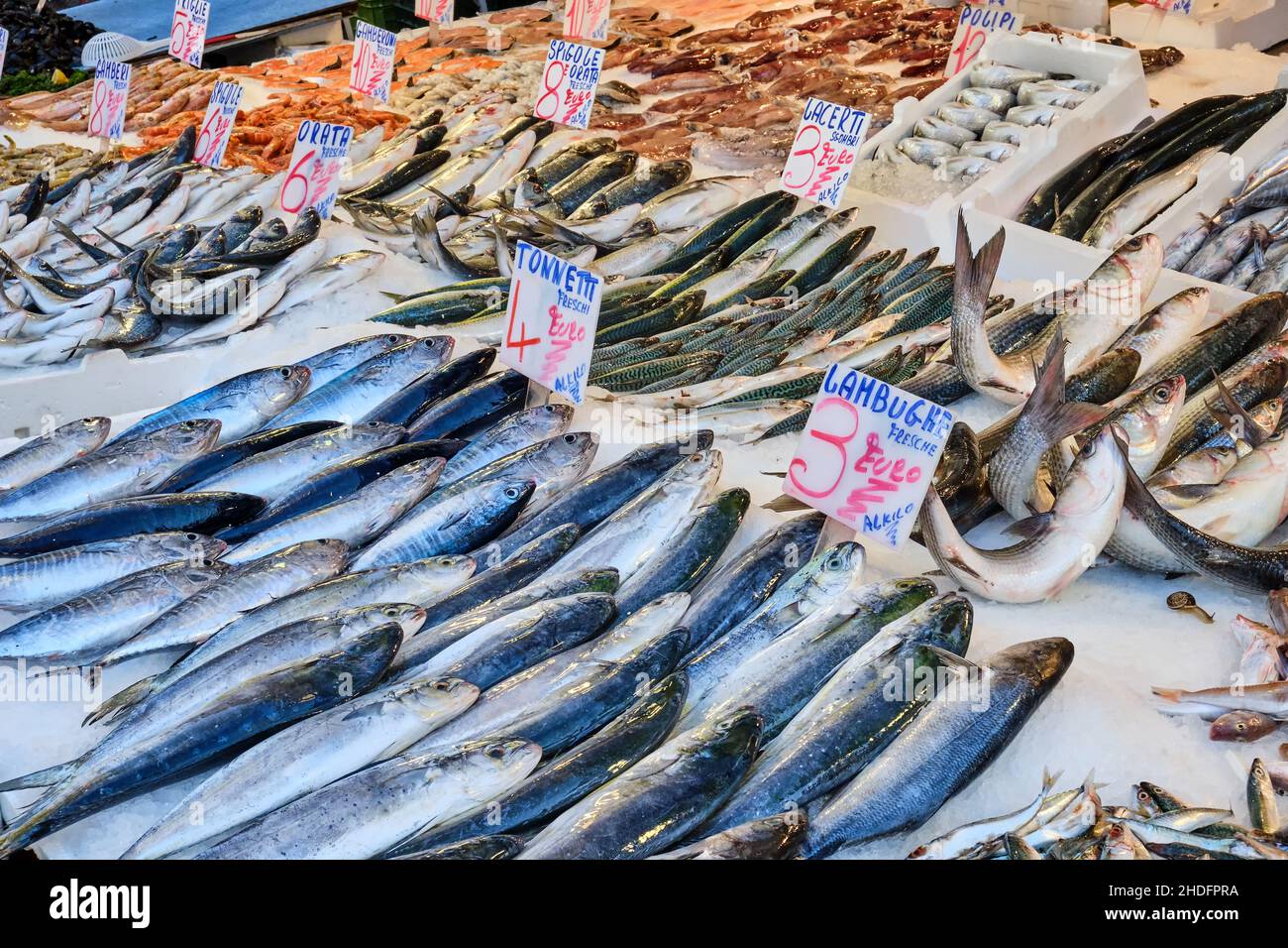 fish, fish market, fishes, fish markets Stock Photo Alamy
