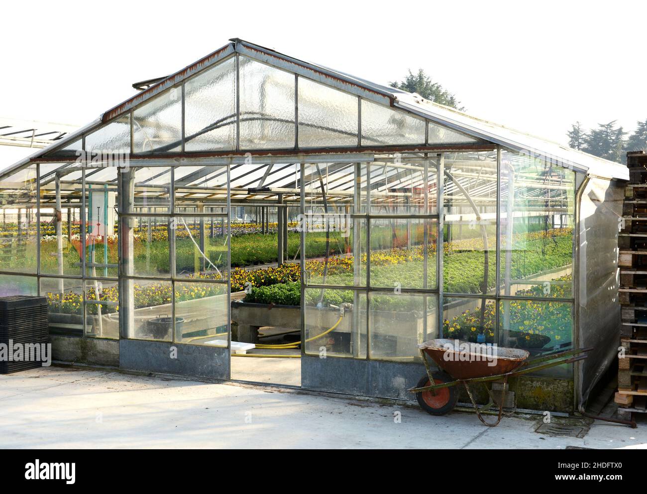 greenhouse, garden center, greenhouses, garden centers Stock Photo