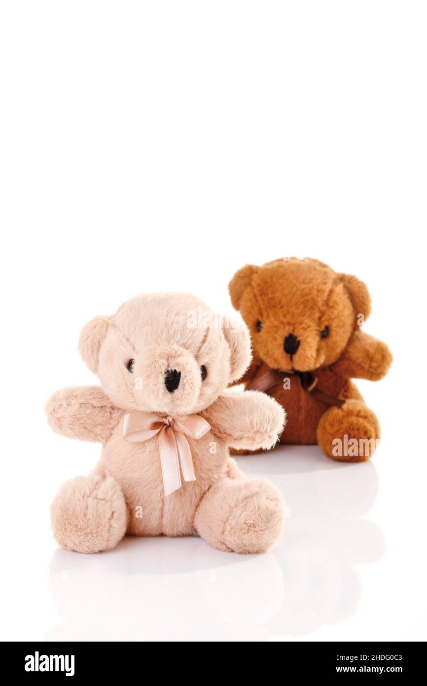 stuffed animal, teddy bear, stuffed animals, teddy bears Stock Photo