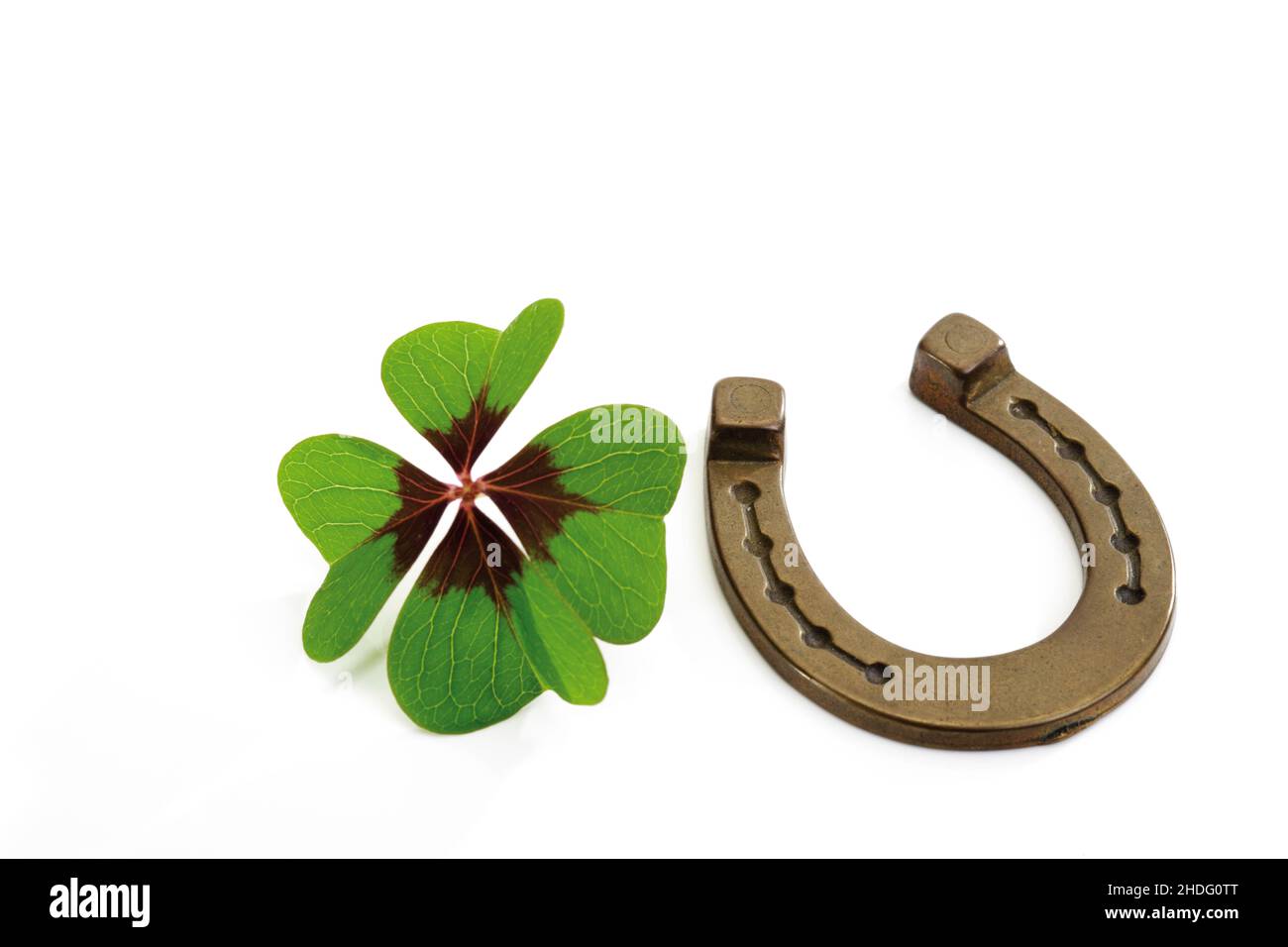 four leafed clover, horseshoe, good luck charm, fourleafed clovers