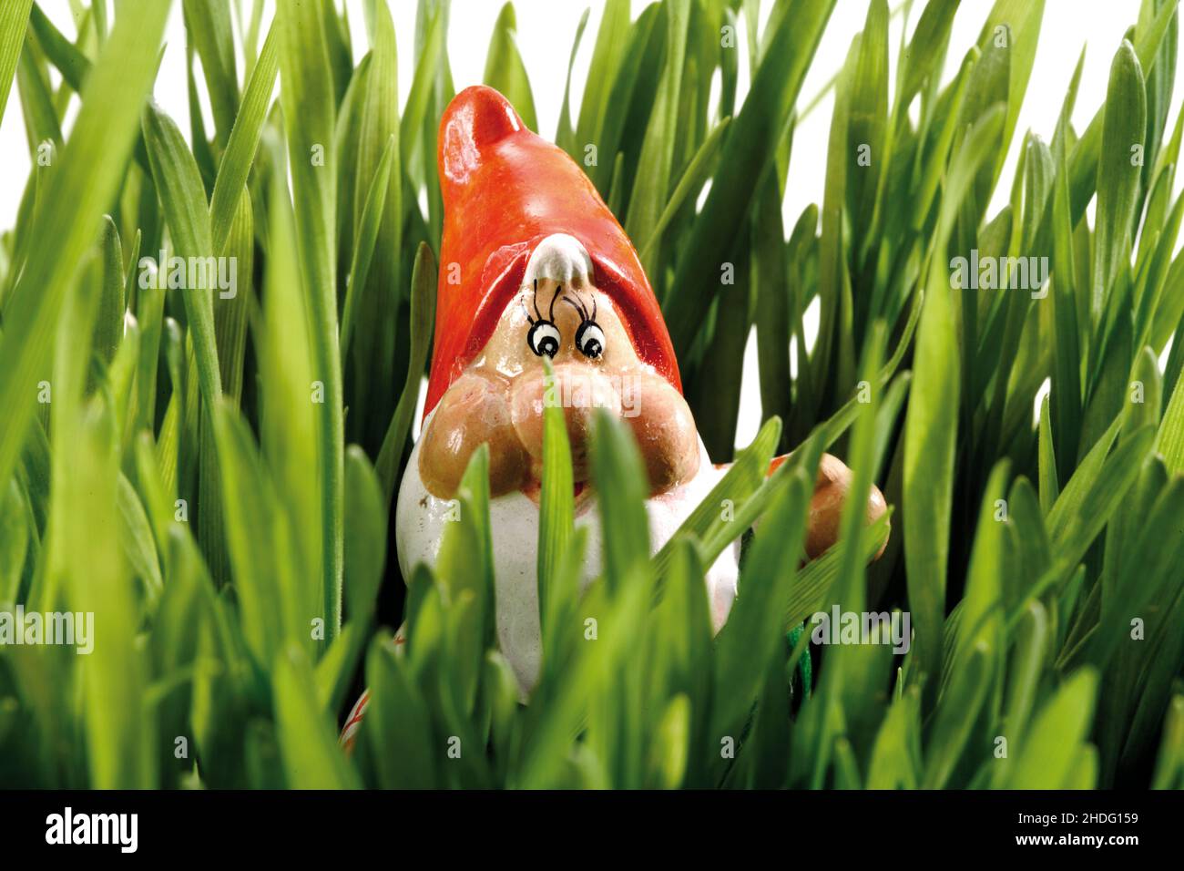 garden gnome, garden decoration, garden gnomes, garden decorations